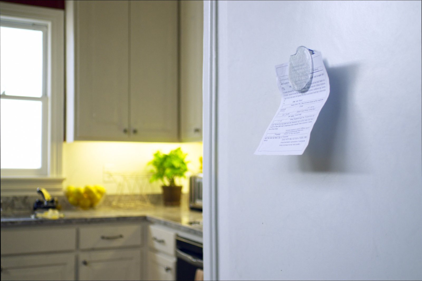 A commissioning report on a sunlit fridge door